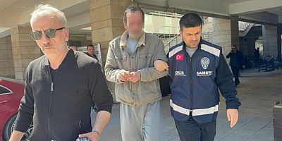 Annesinin kolunu kıran şahıs tutuklandı