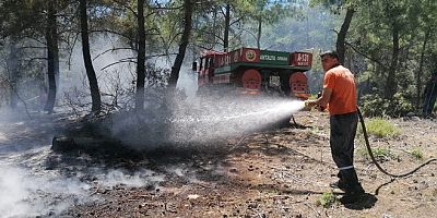 Antalya yangının nedeni: Bekçi