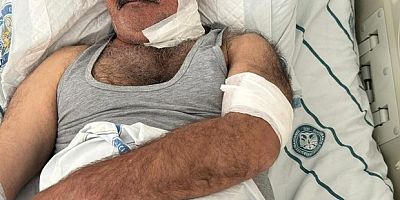 At sahibini boğazından ısırarak ağır yaraladı