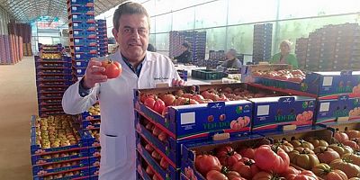  Avrupa domatesleri almak için sıra bekliyor
