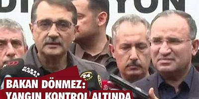 Bakan Dönmez: Yangın kontrol altında
