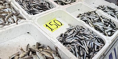 Balık tezgahlarında kıyı balıkçılığı mesaisi