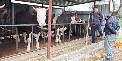 Balıkesir’de kurbanlık satışları başladı