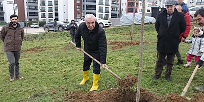 Belediye Başkanından yeşil alan talebine hızlı cevap