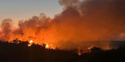 Beykoz'da 3 hektarlık alan küle döndü