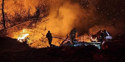 Beykoz'daki orman yangını 9 saatte kontrol alındı