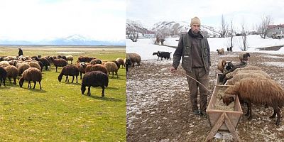 Bir taraf bahar bahçe, diğer taraf kış