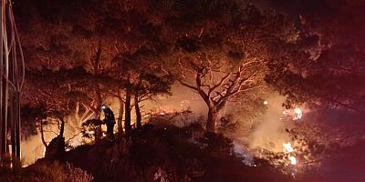 Bodrum'da ormanlık alanda yangın
