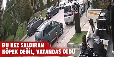 Bu kez saldıran köpek değil, vatandaş oldu