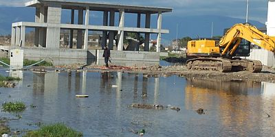 Burhaniye' de çevre felaketi yaşanıyor
