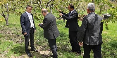 Bursa Büyükşehir zirai don mağduru çiftçinin yanında