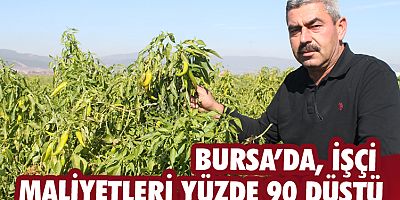Bursa’da işçi maliyetleri yüzde 90 düştü