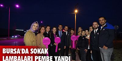 Bursa'da sokak lambaları pembe yandı