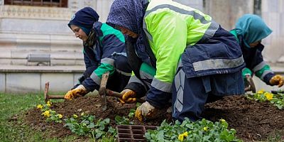 Bursa kışın da çiçek bahçesine dönüşüyor