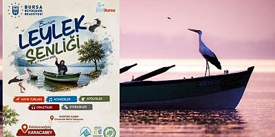 'Bursa Leylek Şenliği' başlıyor