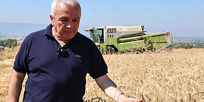 Bursa Nilüfer’de buğday hasadı başladı