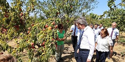 BUÜ, dünyada ilk 500’de