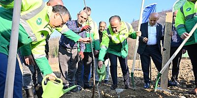 Büyükşehir’den kestane üretimine destek