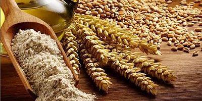 Büyükşehir’den ‘Siyez Buğdayı’ alım desteği   