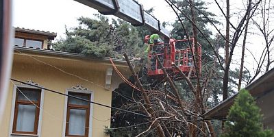 Büyükşehir ekipleri, şiddetli rüzgara karşı sahada