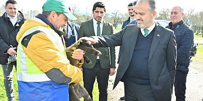 Büyükşehir’le çaresiz değilsiniz