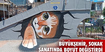 Büyükşehir, sokak sanatında boyut değiştirdi