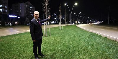 Çalı Yolu Büyükşehir ile aydınlandı