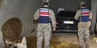 Çalıntı otomobil ahırda bulundu