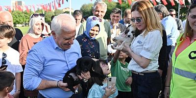 Can dostlar yeni yuvalarında