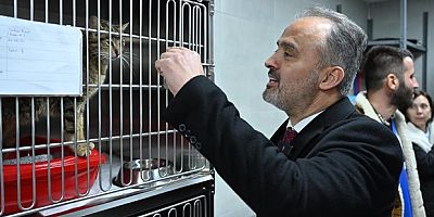 Can dostlara modern yeni yuva