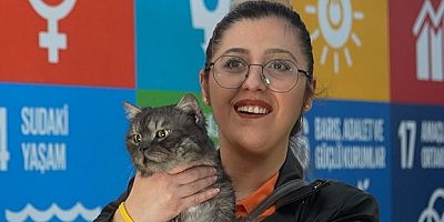 Can dostlara sıcak yuva