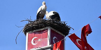 Can ve Canan Leylek Yeniden İznik’te