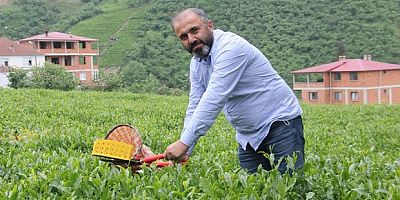 Çay üreticileri kuru çaya da zam bekliyor