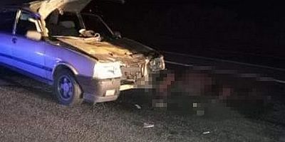 Cenazeye giderken ata çarptılar: 5 yaralı