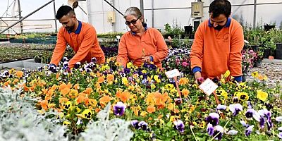 Çiçek Desenleri Günleri için 130 bin dal çiçek yetiştiriliyor