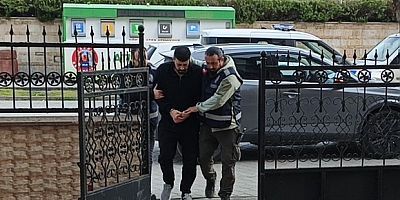 Cinayetin azmettiricisi ve kardeşi tutuklandı