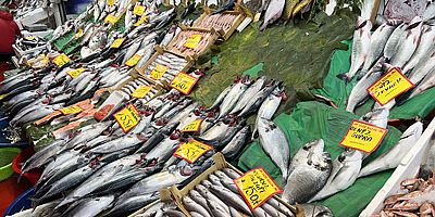 Çinekop bollaştı, fiyatı yarı yarıya düştü