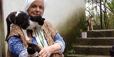 Çocuk sevgisini kedilerde buldu