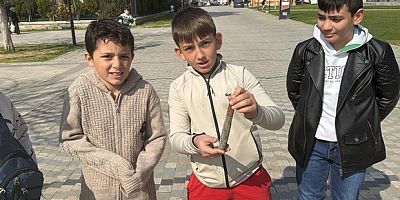 Çocuklar top mermisi buldu
