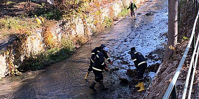 Dalakdere’de temizlik çalışması yapıldı