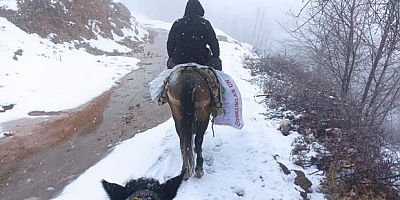 Depremzedelere katır sırtında yardım