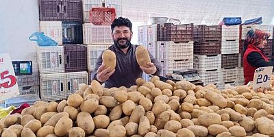 Dev patatesler pazarın ilgi odağı oldu