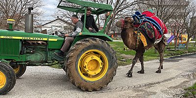 Deveye traktörlü antrenman! 
