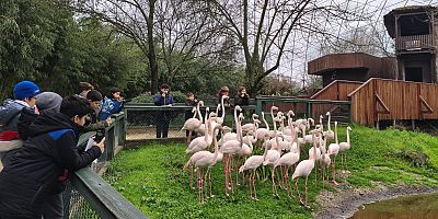 Doğa dedektifleri iz peşinde