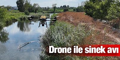 Drone ile sinek avı