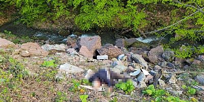 Düzce’de cinayet çözüldü