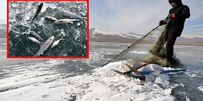 Ekmeklerini buzdan kazanıyorlar