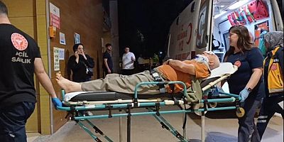 Erik toplamak için çıktığı ağaçtan düşerek yaralandı