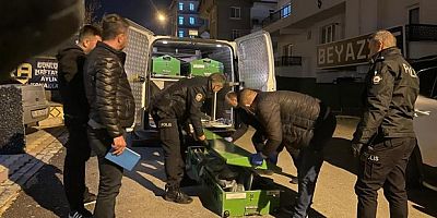 Genç kadın apart dairede ölü bulundu