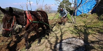 Gençler köyü terk edince iş yaşlılara kaldı